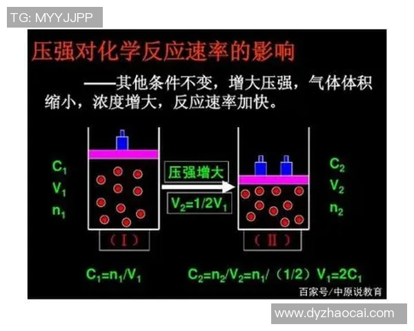 重庆网球队速度表现分析及其对比赛成绩的影响探讨